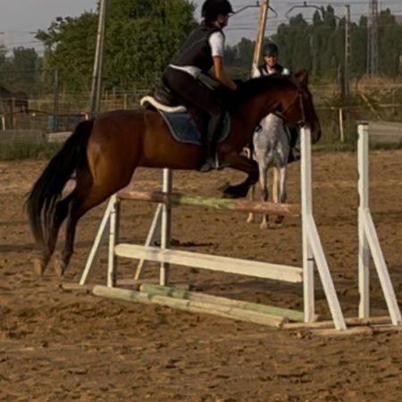 Imagen de WhatsApp 2025-08-27 a las 13.45.27_74551f49