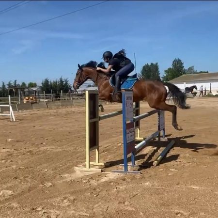 Imagen de WhatsApp 2025-08-27 a las 13.48.11_d48c3988