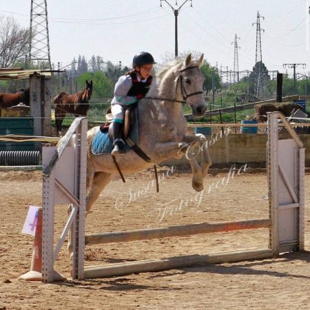 Imagen de WhatsApp 2025-08-27 a las 15.07.03_2faa5253