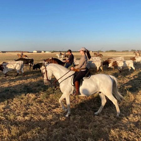 Imagen de WhatsApp 2025-08-27 a las 17.34.13_01224e93