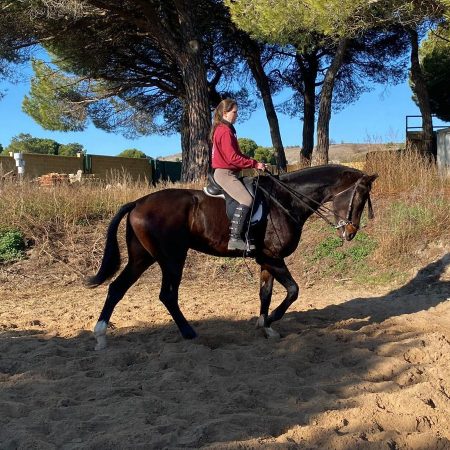 Imagen de WhatsApp 2025-08-27 a las 17.34.13_a39ddbb3