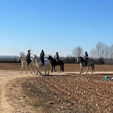 Imagen de WhatsApp 2025-08-27 a las 17.34.14_32c484bf