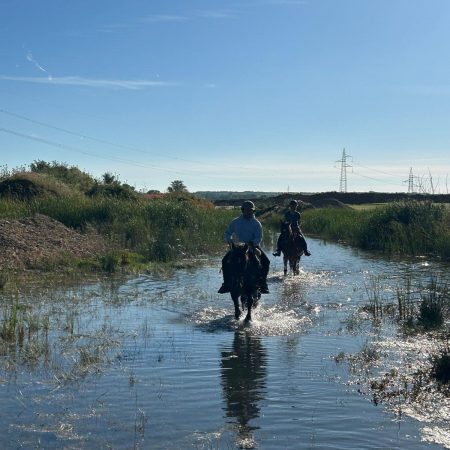 Imagen de WhatsApp 2025-08-27 a las 17.34.14_87305091