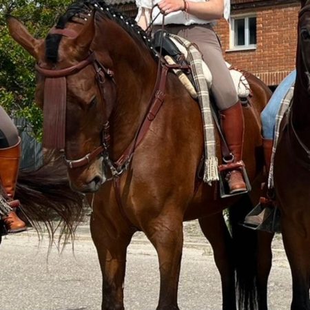 Imagen de WhatsApp 2025-08-27 a las 17.34.14_f01acf51