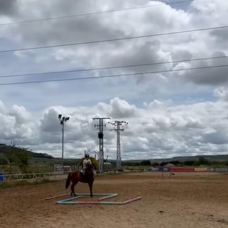 Imagen de WhatsApp 2025-08-27 a las 17.34.15_1bdcdf60