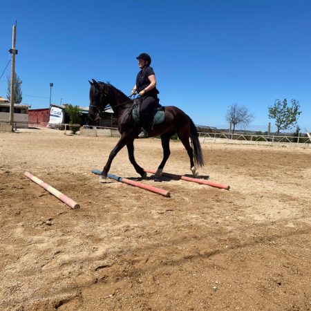 Imagen de WhatsApp 2025-08-27 a las 17.34.15_81a12317