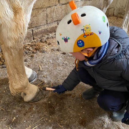 Imagen de WhatsApp 2025-08-27 a las 17.34.15_ddee130e