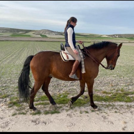 Imagen de WhatsApp 2025-08-27 a las 17.34.16_0b1484db