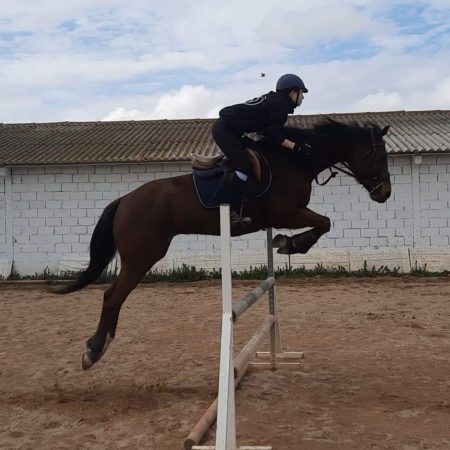 Imagen de WhatsApp 2025-08-27 a las 17.35.03_21798c65