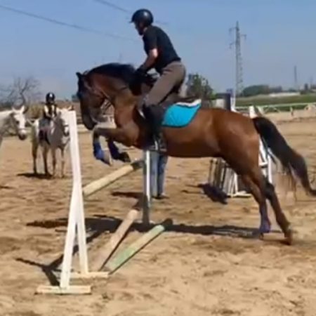 Imagen de WhatsApp 2025-08-28 a las 00.06.10_60b79bcd