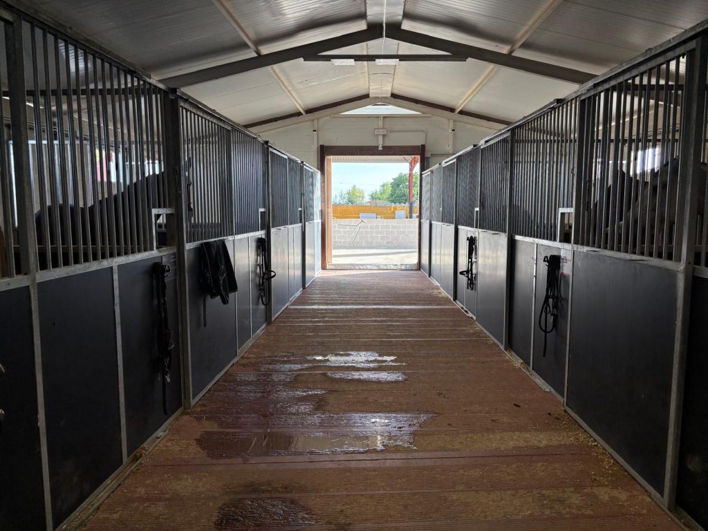 Pupilaje en Tránsito- Short-term horse boarding-Pension temporaire pour chevaux   21:09