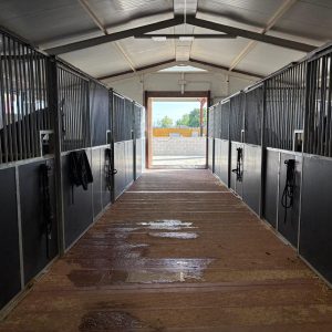 Pupilaje en Tránsito- Short-term horse boarding-Pension temporaire pour chevaux   21:09